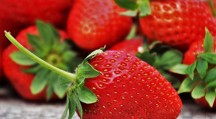 Jak dobre jedzenie przekłada się na pracę naszego organizmu?