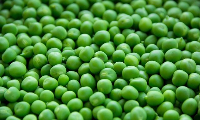 Czy groszek to warzywo strączkowe?