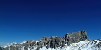 Jaki nawóz do akwarium bez CO2?