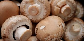 Co to znaczy korzenny?