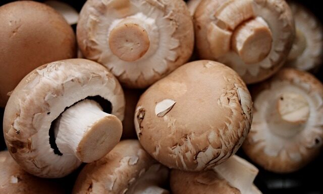 Co to znaczy korzenny?