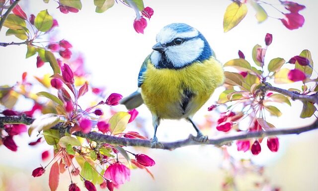 Jaki ser żółty jest zdrowy?