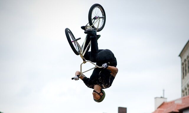 Jak zrobić rampę dla psa?