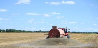 Jakie nawozy podawać do akwarium?