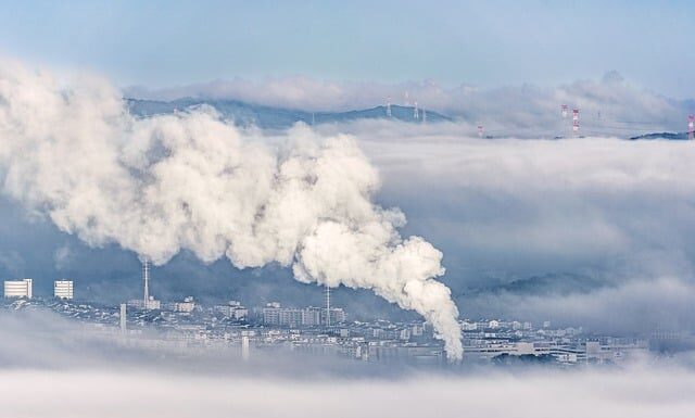 Co daje dwutlenek węgla w akwarium?