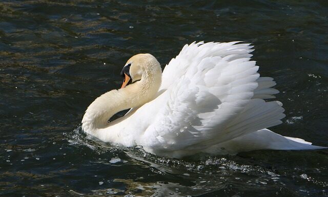 Co jeść żeby nie mieć wzdęć? Co jeść żeby nie mieć wzdęć?