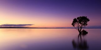 Jaką wodę należy wlewać do akwarium?