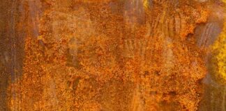 Jaka herbata ma dużo żelaza?