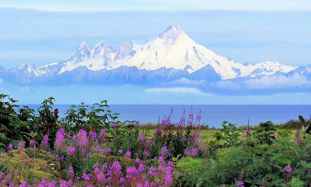 Czego nie wolno wykonywać w pracy kucharza?