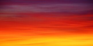 Ile jest kolorow jabłek?