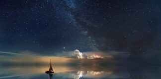 Co klaruje wodę w akwarium?