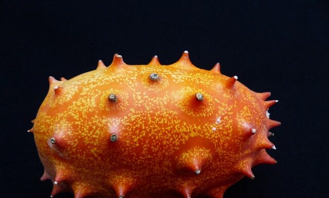 Czy ogórek to jest owoc? Czy ogórek to jest owoc?