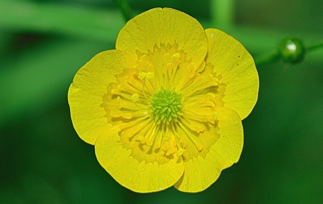 Ile kosztuje 1 patyczak? Ile kosztuje 1 patyczak?