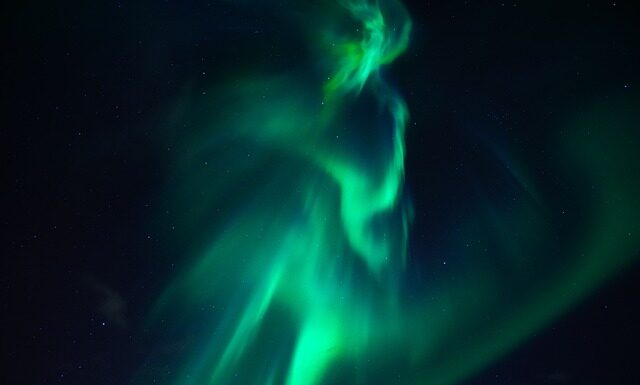 Jaką roślina ma dużo azotu? Jaką roślina ma dużo azotu?