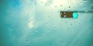 Co jest podobne do cząbru?