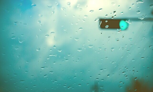 Co jest podobne do cząbru?