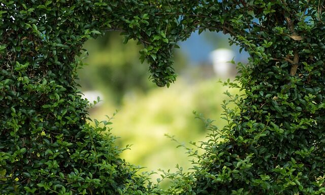 Co oznacza zielona rękawiczka?