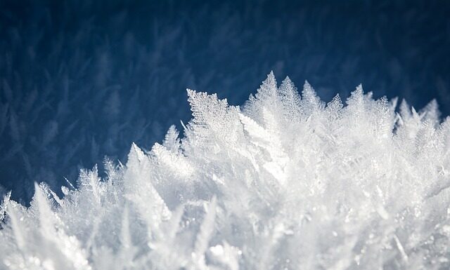Czego nie powinno się zamrażać? Czego nie powinno się zamrażać?