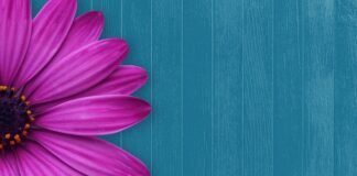 Co podać na stół dla gości?