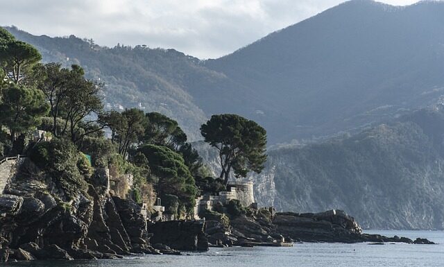 Ile kosztuje tort domowej roboty?