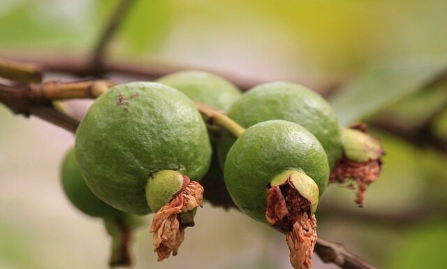 Od czego zacząć wędzenie? Od czego zacząć wędzenie?