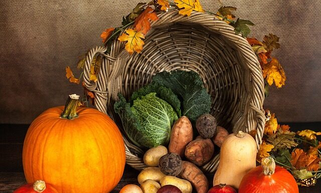 Czy dynia to jest owoc? Czy dynia to jest owoc?