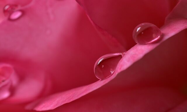 Jak zmierzyć wilgotność powietrza w domu aplikacja?