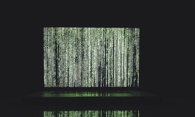 Z czym łączyć neonki?