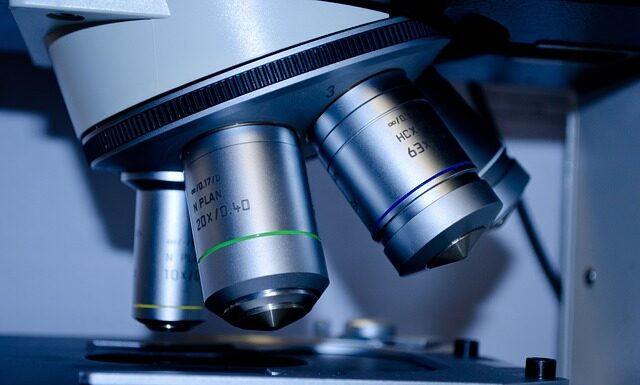 Kiedy mikro do akwarium? Kiedy mikro do akwarium?