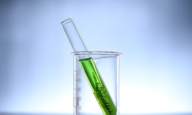 Jak pozbyć się glonów nitkowatych w akwarium? Jak pozbyć się glonów nitkowatych w akwarium?