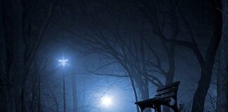 Jakie są polskie rośliny?