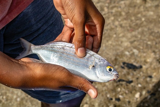 Dlaczego warto jeść strączki? Dlaczego warto jeść strączki?