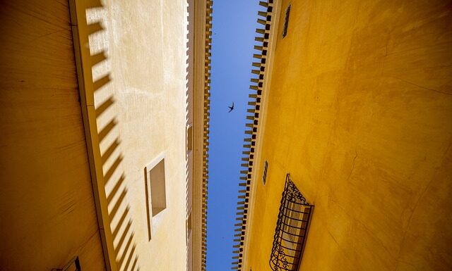 Czy mule są dobre? Czy mule są dobre?