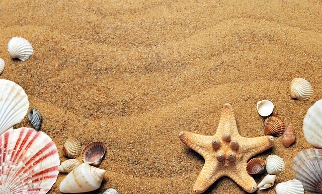 Jak się je muszle? Jak się je muszle?