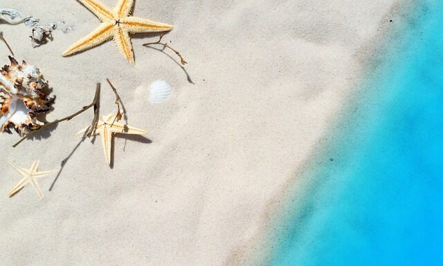 Jak się je małże? Jak się je małże?