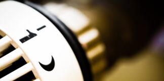 Jaki termostat do terrarium?