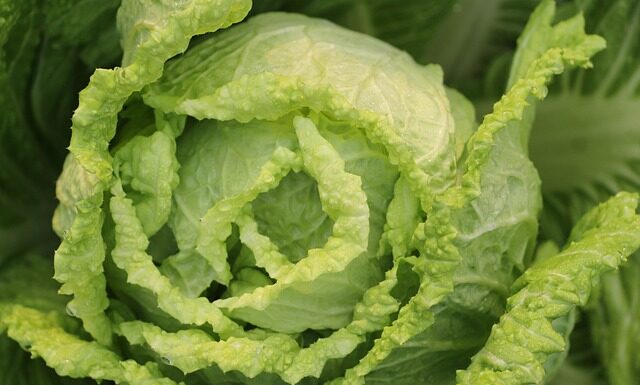 Jak zrobić surówkę z sałaty mix? Jak zrobić surówkę z sałaty mix?