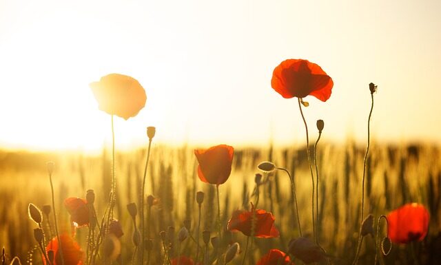 Dlaczego nie jeść mąki?